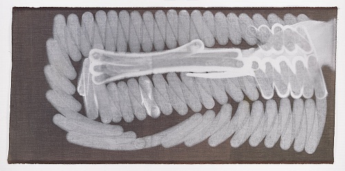 <i>Cupping #19 (recto)</i>, 2013